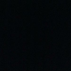 Meet your Posher, Carmen